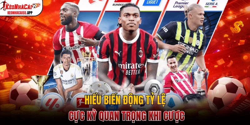 Hiểu biến động tỷ lệ cực kỳ quan trọng khi cược
